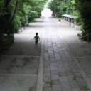 お散歩コース