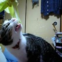 こうすると