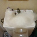 溺愛　そうは言っても；；；