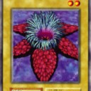 【遊戯王大会】　第6回　ホビステチャンピオンシップ　【3人チーム戦】
