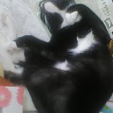 変なカッコ