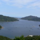 徳島（藍住・鳴門他）の旅