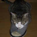 座ると死ぬぜぇ