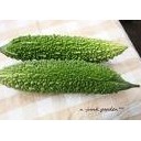 野菜がいっぱい
