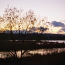 夕方