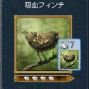 DOL日記 その555