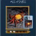 DOL日記 その555