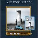 DOL日記 その555