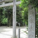 放置気味