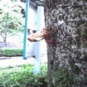 ここであったがこんにちは