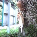 ここであったがこんにちは