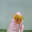 どこから見ても黄色です