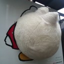 また増えちゃった・・・