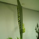 華道展に行った。