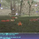 FF11適当に画像