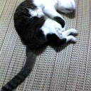 無駄に長い