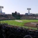 夏の高校野球