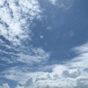 昨日、今日と蒸し暑い