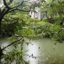 オレフ　倉敷美観地区吟行