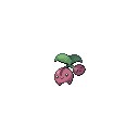 ポケモン金銀DSで新たにわかったことだが…