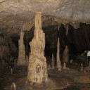 東医体遠征