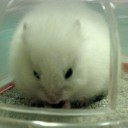 寝てるときと食べてる時は止まってるので撮れました