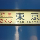 さくら東京行