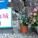 ここにもBASARA？！