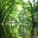 夏こもり