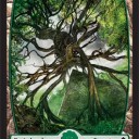 Zendikar／ゼンディカーの土地情報５