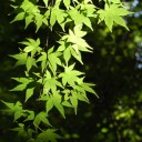 秋の予感