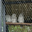 夏休み4日目　～なんでこんなに早起き？～