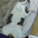 ちょっと。