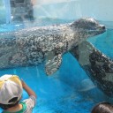 水族館（２）
