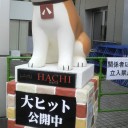 暑かった〜