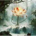 【ZEN】　プレイマットアート画像　Angel＆Lotus