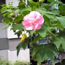 8月22日の日記
