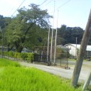 田舎サイコウ！！！