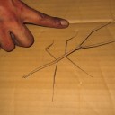 悩むより慣れろ　“ミッション２６：ぼちぼち帰宅の準備をせよ！”　の巻