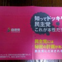 こんなん入ってた