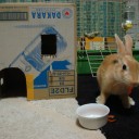 昨日は・・・。