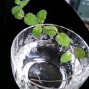 続き