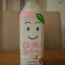 選挙一色