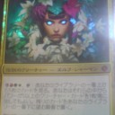 アニマのメイエル
