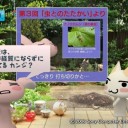 ジュン枠