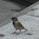 ささやかだけれど、役にたつこと