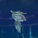いくら触られるのが嫌な動物でも左肩を噛み付くことねーやろ