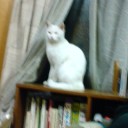 週明け、お仕事です。
