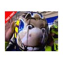 2009motoGPサンマリノGP