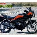 若気の至り・・・年寄りの冷や水・・・